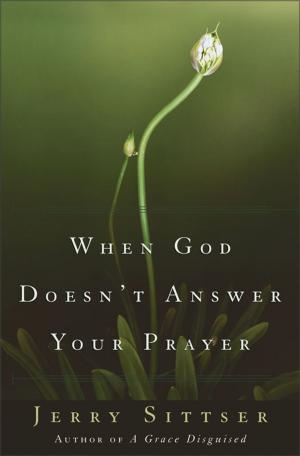 Cover of the book When God Doesn't Answer Your Prayer by Amy Clipston
