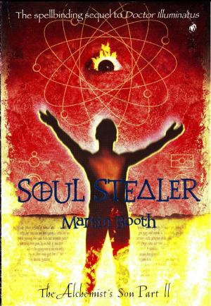 Book cover of Soul Stealer