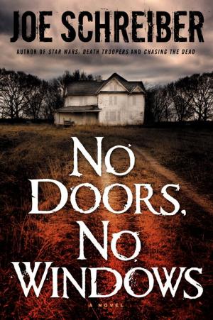 Cover of the book No Doors, No Windows by Elizabeth Bear