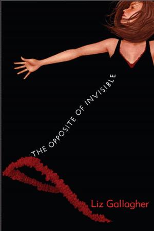Cover of the book The Opposite of Invisible by Suzanne Lang