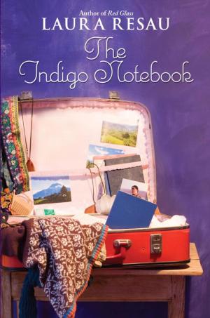 Cover of the book The Indigo Notebook by Mary Pope Osborne, Natalie Pope Boyce