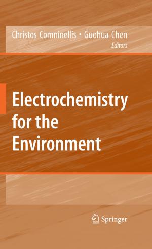 Cover of the book Electrochemistry for the Environment by Sitharama S. Iyengar, Kianoosh G. Boroojeni, N. Balakrishnan
