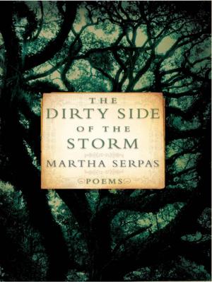 Cover of the book The Dirty Side of the Storm: Poems by Robert S. Desowitz