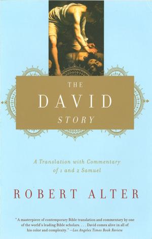 Book cover of The David Story: A Translation with Commentary of 1 and 2 Samuel