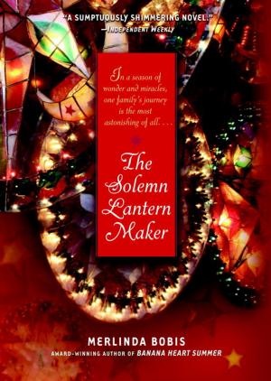 Book cover of The Solemn Lantern Maker