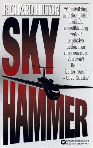 Cover of the book Skyhammer by Mitch Albom