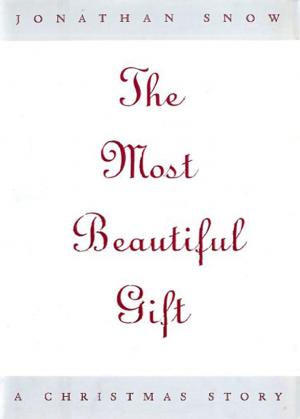 Book cover of The Most Beautiful Gift