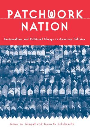 Cover of the book Patchwork Nation by Amanda Gailey