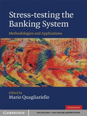 Cover of the book Stress-testing the Banking System by Aaron Schneider