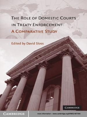 Cover of the book The Role of Domestic Courts in Treaty Enforcement by Nello Cristianini, Matthew W. Hahn