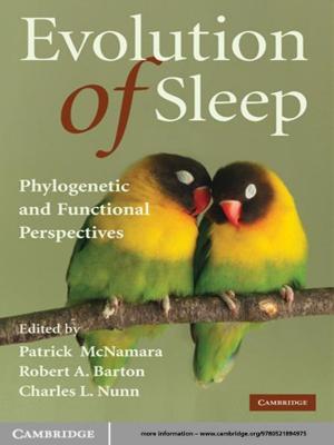Cover of the book Evolution of Sleep by Pascal Menoret