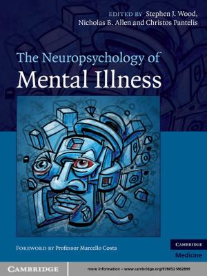 Cover of the book The Neuropsychology of Mental Illness by Bent Flyvbjerg, Nils Bruzelius, Werner Rothengatter