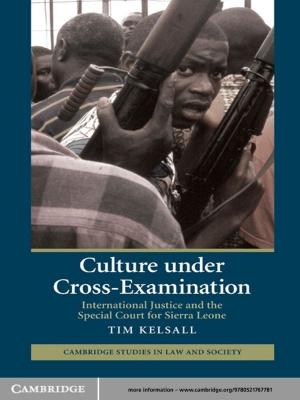 Cover of the book Culture under Cross-Examination by Bikas K. Chakrabarti, Anirban Chakraborti, Satya R. Chakravarty, Arnab Chatterjee