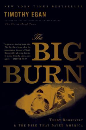 Cover of the book The Big Burn by Cynthia Rylant
