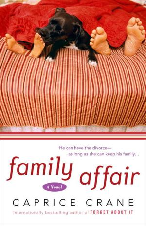 Cover of the book Family Affair by Norman Schwarzkopf
