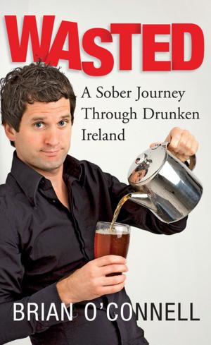 Cover of the book Wasted: Sober in Ireland by JJ Muggivan, Tony Muggivan