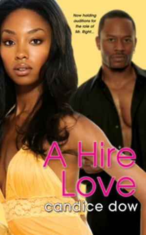 Cover of the book A Hire Love by Wahida Clark
