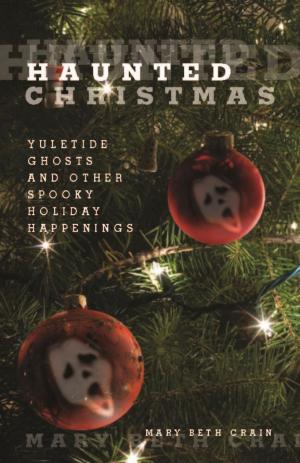 Cover of the book Haunted Christmas by Jackie Sheckler Finch, Gay N. Martin, Gay N. Martin