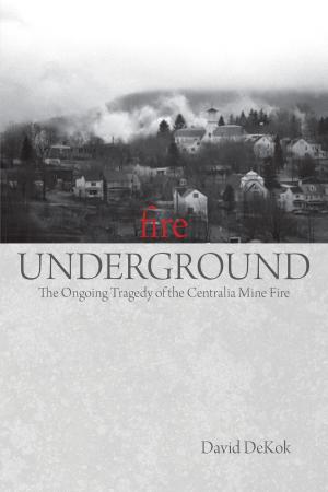 bigCover of the book Fire Underground by 