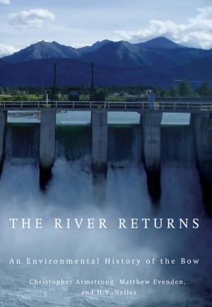 Cover of the book The River Returns by Nicolás Fernández-Medina