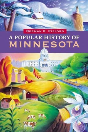 Cover of the book A Popular History of Minnesota by Odd S. Lovoll