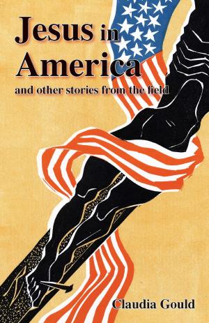 Cover of the book Jesus in America and Other Stories from the Field by Ellen C. Carillo