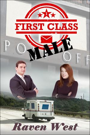 Cover of the book First Class Male by Catrina Taylor