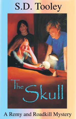 Cover of the book The Skull by M.A. Wyner