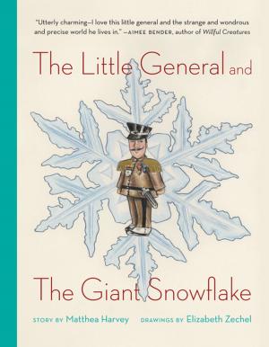 Book cover of The Little General and the Giant Snowflake