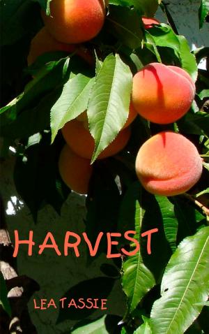 Cover of the book Harvest by Lea Tassie