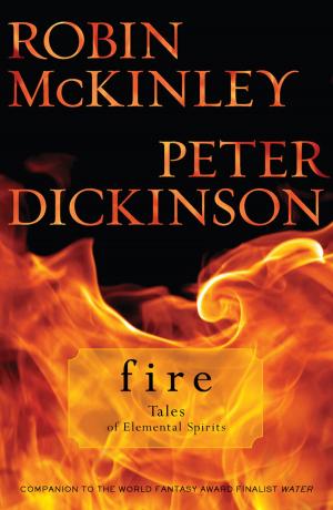 Cover of the book Fire: Tales of Elemental Spirits by Maureen Johnson