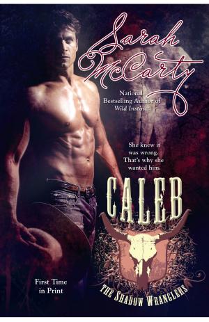 Cover of the book Caleb by Brandon Webb, John David Mann