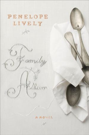 Cover of the book Family Album by Elizabeth Brundage