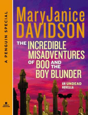 Book cover of The Incredible Misadventures of Boo and the Boy Blunder