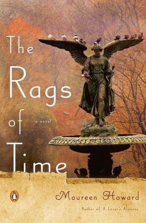 Cover of the book The Rags of Time by Christine Pearson, Christine Porath