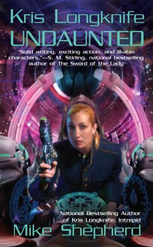 Cover of the book Kris Longknife: Undaunted by Donna Klein