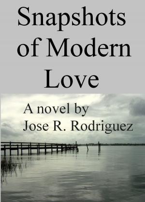 Cover of Snapshots of Modern Love