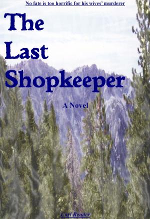 Book cover of The Last Shopkeeper