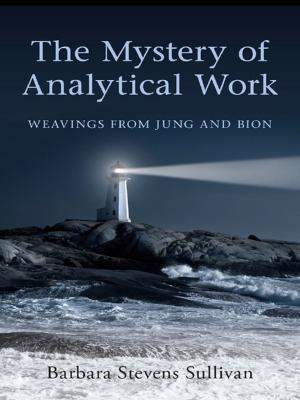 Cover of the book The Mystery of Analytical Work by Regina Pally