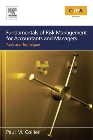 Cover of the book Fundamentals of Risk Management for Accountants and Managers by Karen Jillings