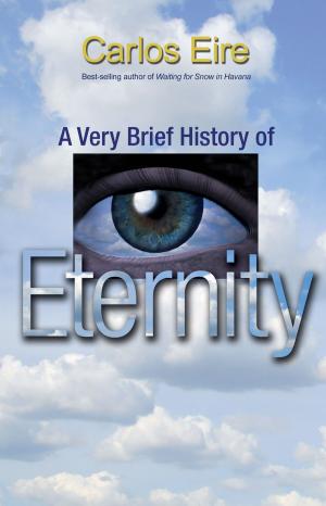 Cover of the book A Very Brief History of Eternity by Jill Lepore