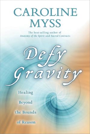 Book cover of Defy Gravity