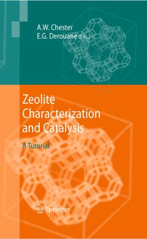 Cover of the book Zeolite Characterization and Catalysis by Merle Matthies
