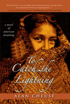Cover of the book To Catch the Lightning by Jill Mansell