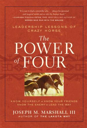 Cover of the book The Power of Four by Jodi R. R. Smith