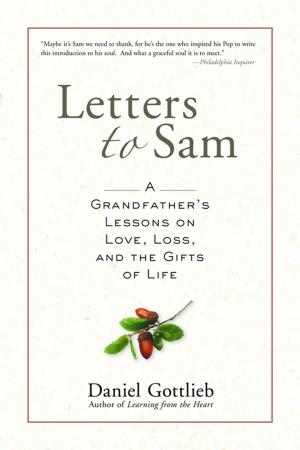 Cover of the book Letters to Sam by Alan Axelrod