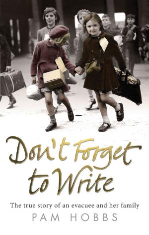 Cover of the book Don't Forget to Write by Sebastian Faulks
