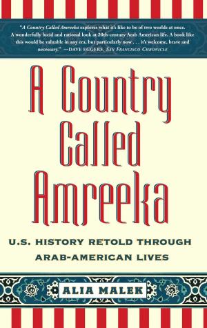 Cover of the book A Country Called Amreeka by Bonnie Tsui
