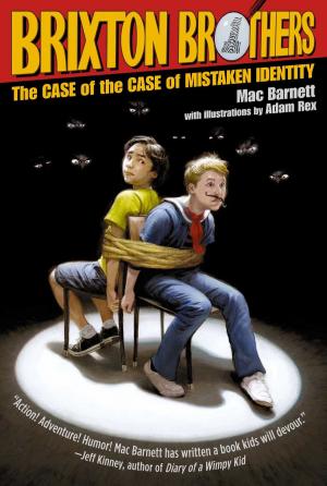 Cover of the book The Case of the Case of Mistaken Identity by Philip Van Doren Stern