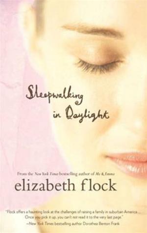 Book cover of Sleepwalking in Daylight